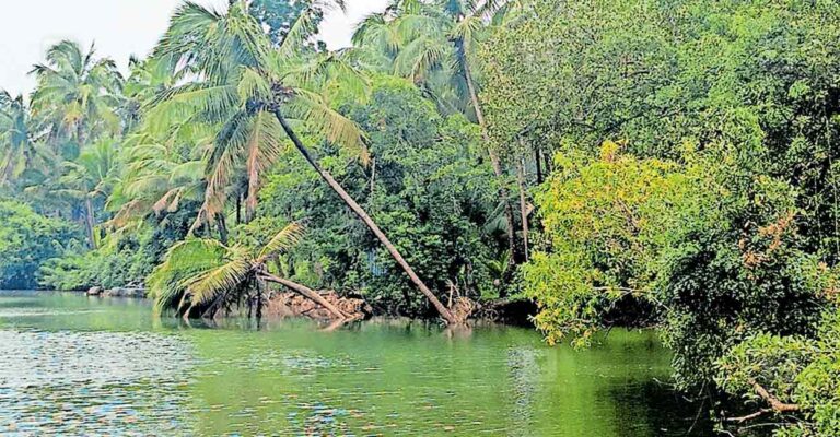 payannur-bridge-.jpg