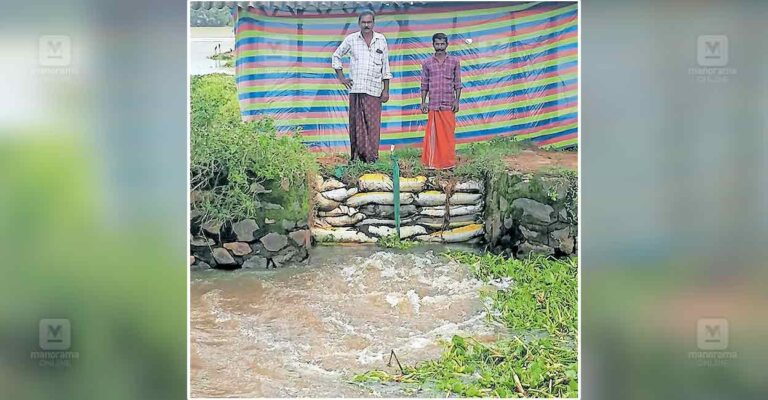 perigara-farmering.jpg