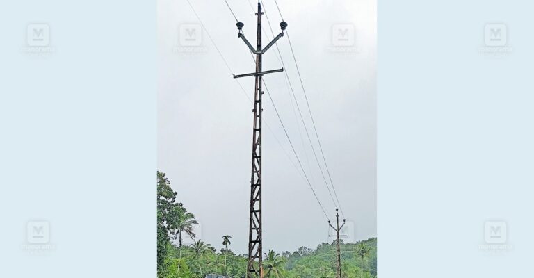 pta-ranni-electric-post.jpg