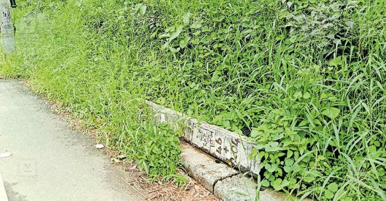 ranni-road-issue.jpg