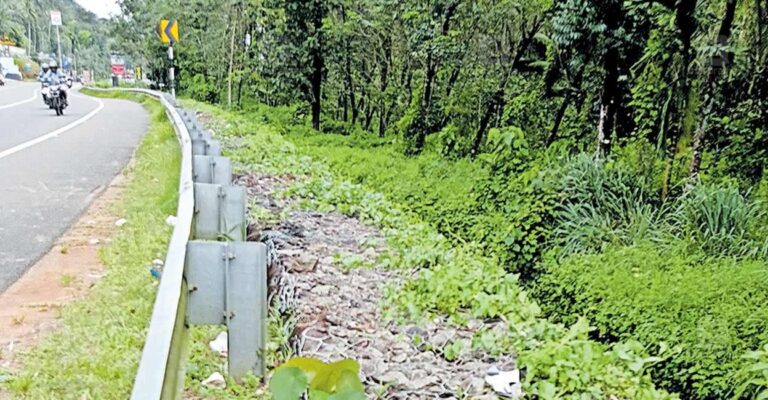 road-side-issue.jpg