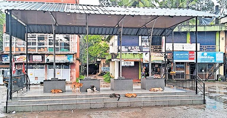 stray-dog-menace-chunkappara.jpg