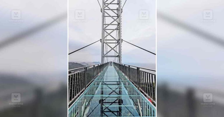 thodupuzha-glass-bridge.jpg