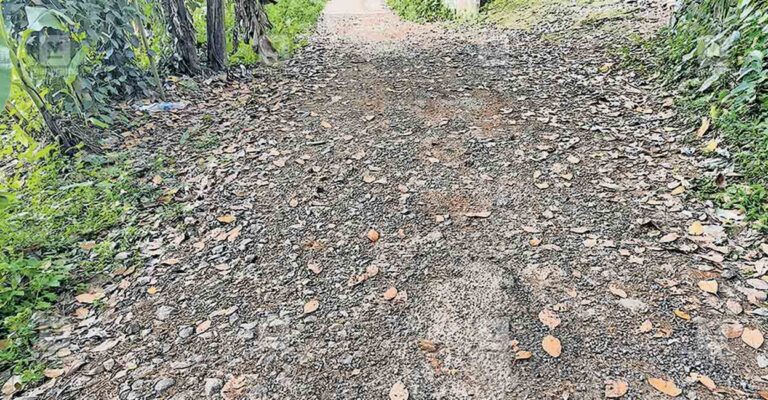 tvm-kilimanoor-road-issue.jpg