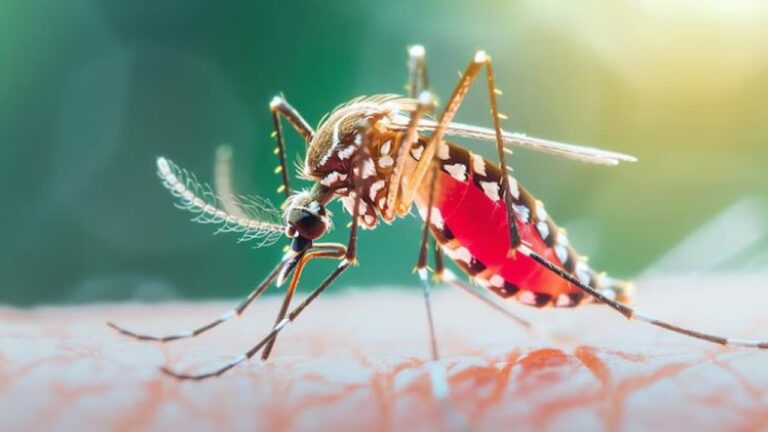 w-1280h-720format-jpgimgid-01jsp1dq7t1tgwcmvrpq9tavcpimgname-how-to-detect-malaria-in-infants-17.jpeg