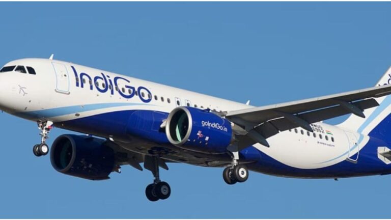 w-1280h-720format-jpgimgid-01jxyr3bpzybbzfh4pedertp8wimgname-indigo-1-1750157340383.jpg