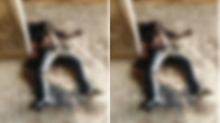 w-1280h-720format-jpgimgid-01k579m58mps2g1pzgeza2b6twimgname-unknown-dead-body-1757960344852.jpg