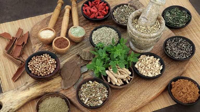w-1280h-720format-jpgimgid-01k5r8gzfh3xajtzbq4ep3dkwjimgname-ayurvedic-herbs-1758529617392.jpg