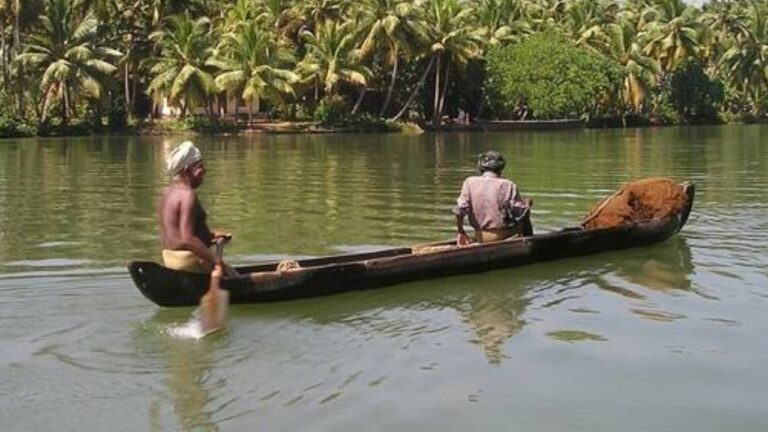 w-1280h-720format-jpgimgid-01k6anx9eq87f23h66g1a8x37kimgname-illegal-fishing-kottayam-1759147632.jpeg
