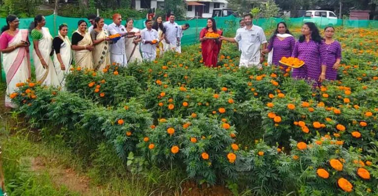 wayanad-panamaram-flowers.jpg