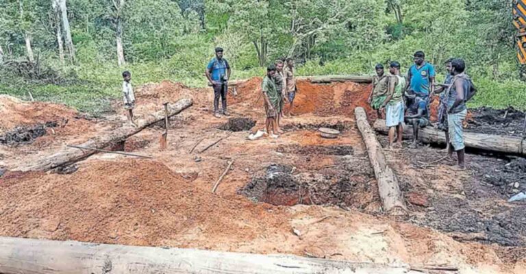 wayanad-wild-elephant-balakrishnan-elephant-enclosure-abhayaranyam-elephant-camp.jpg