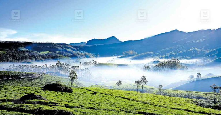 Devikulam-Lakkad-view.jpg