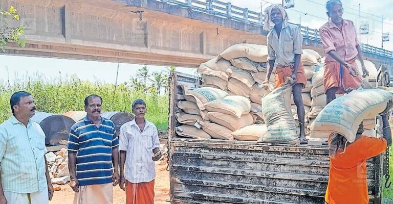 Subsidized-Rice-Seeds.jpg
