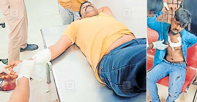 auto-driver-injured-theft-attempt-1.jpg