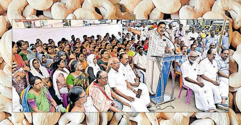 cashew-industry-crisis-shibu.jpg