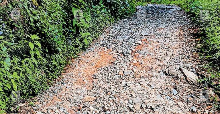 chelickal-kumbanganam-road.jpg