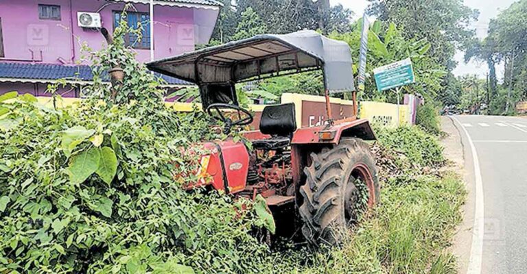 chengannur-vegitation.jpg