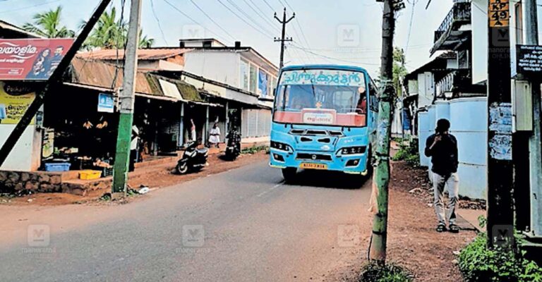 dangerous-pillars-kannadiparamba.jpg