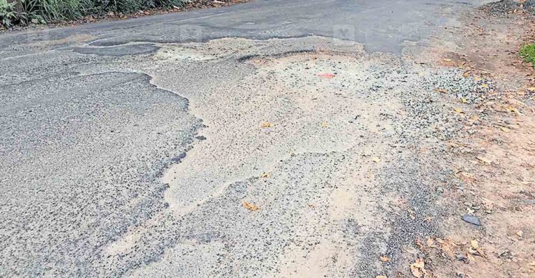 ernakulam-vattukunnu-road.jpg
