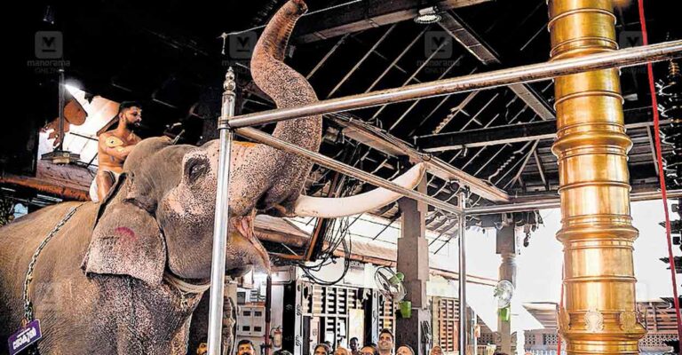 guruvayur-elephant-1.jpg