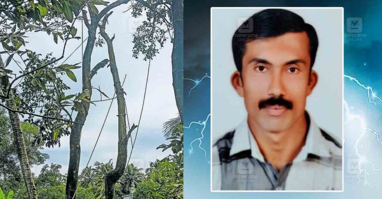 haripad-lightning-strike-second-deat.jpg