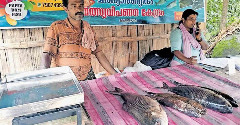 idukki-fish-sale.jpg