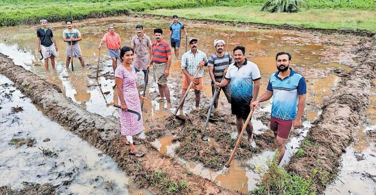 iritty-government-employees.jpg