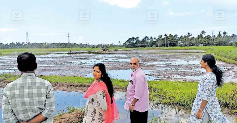 kareechal-paadi-field.jpg