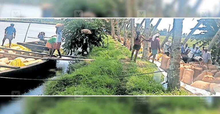 karuvatta-paddy-procurement-delay.jpg