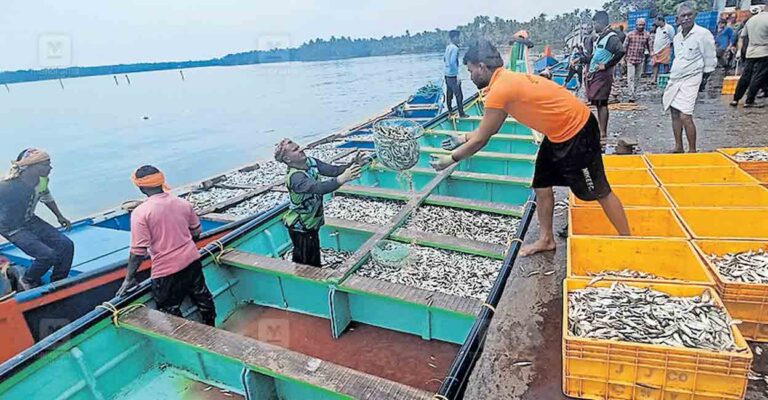 kasargod-fish.jpg