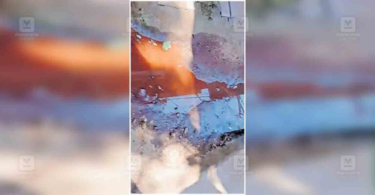 kasargod-septic-tank-overflowing-kanhangad.jpg