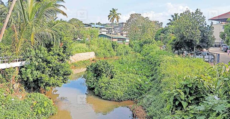 kottarakara-vegitation.jpg