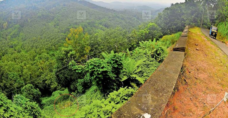 kottayam-husband-murdered-wife-case-2.jpg