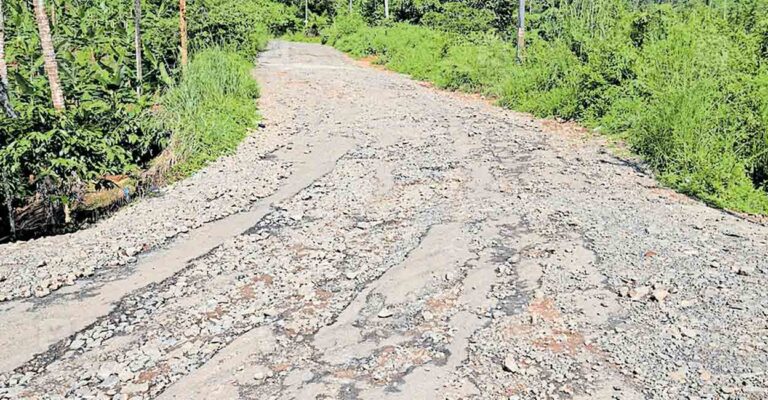 kozhikode-valamthode-nayadampoyyil-road-collapsed.jpg