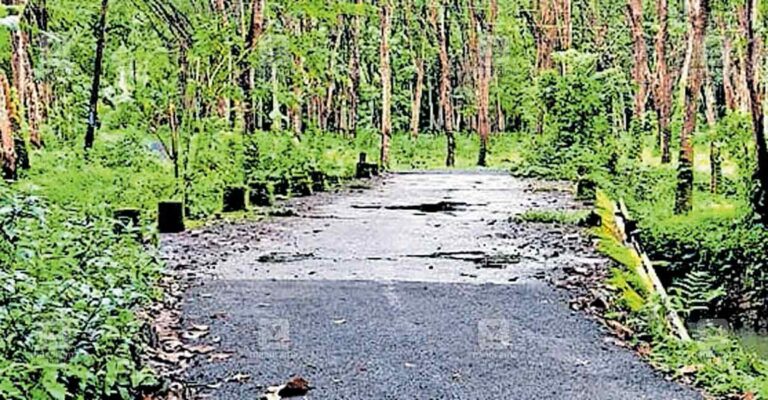 ktm-mattakkara-road-issue.jpg