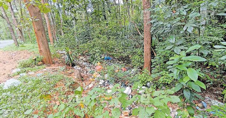 ktm-vandanpathal-waste.jpg