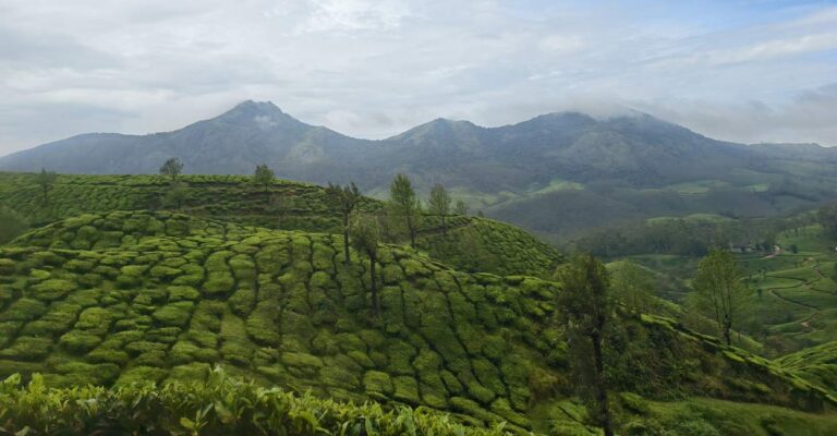 munnar-devikulam-3.jpg