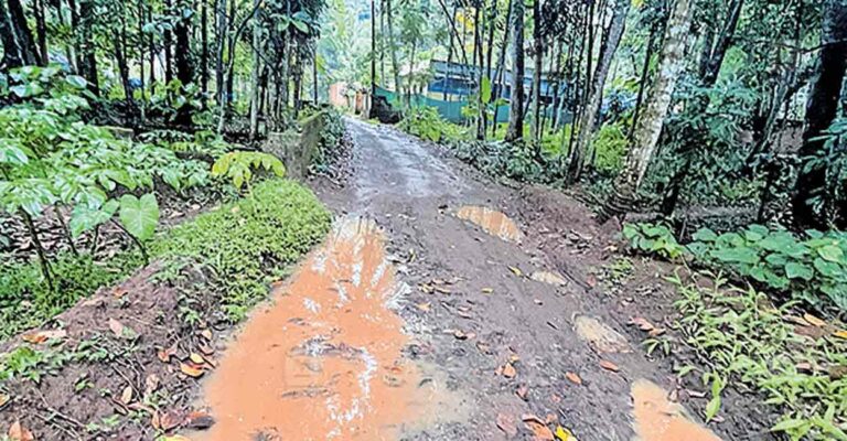 neeyathikara-road.jpg
