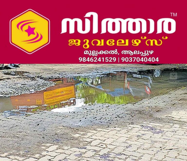 newskerala.net_1759268342_thodupuzha-fishmarket-waste-water
