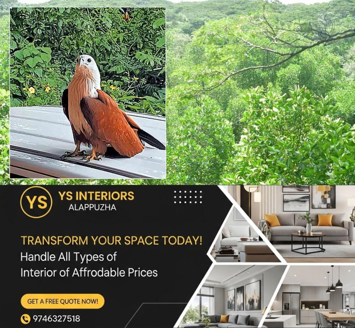 newskerala.net_1759373425_pta-eagle