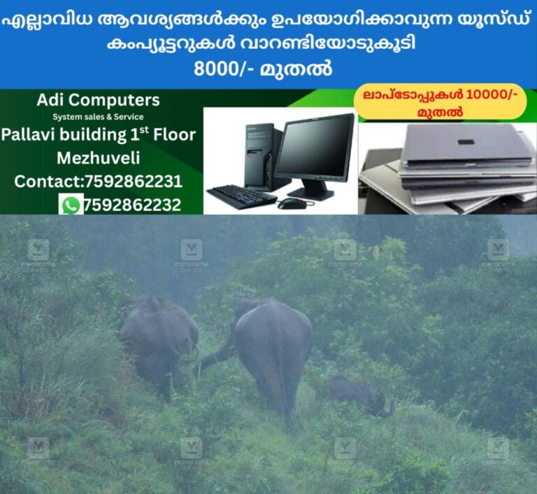 newskerala.net_1759386030_elephants-and-baby-on-the-way-gavi