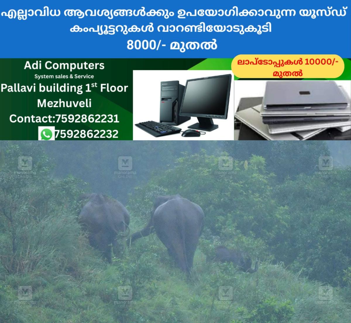 newskerala.net_1759386030_elephants-and-baby-on-the-way-gavi