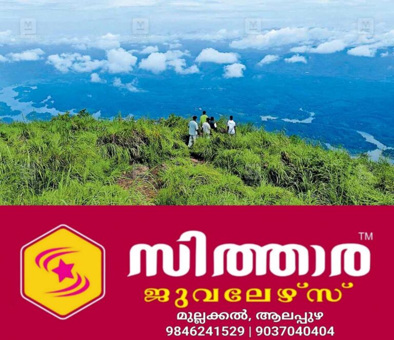 newskerala.net_1759469764_elavizhapoonchira