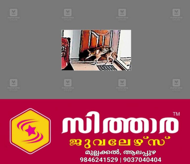 newskerala.net_1759472823_jackal