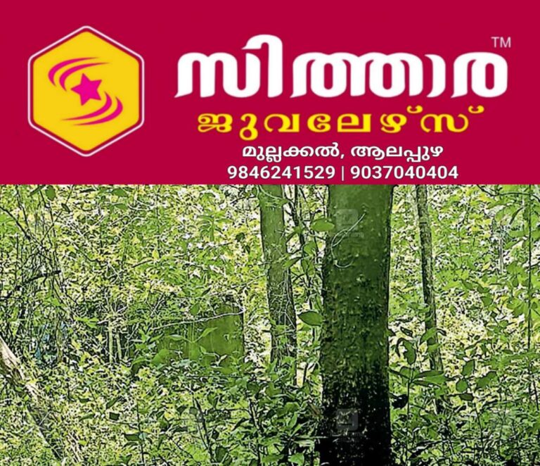 newskerala.net_1759479130_mattannur-kanad-house