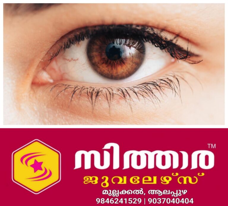 newskerala.net_1759534083_w-1280h-720format-jpgimgid-01k6negtypn45mh6tv25ca2ajaimgname-fotojet-2025-10-03t215920.929-175