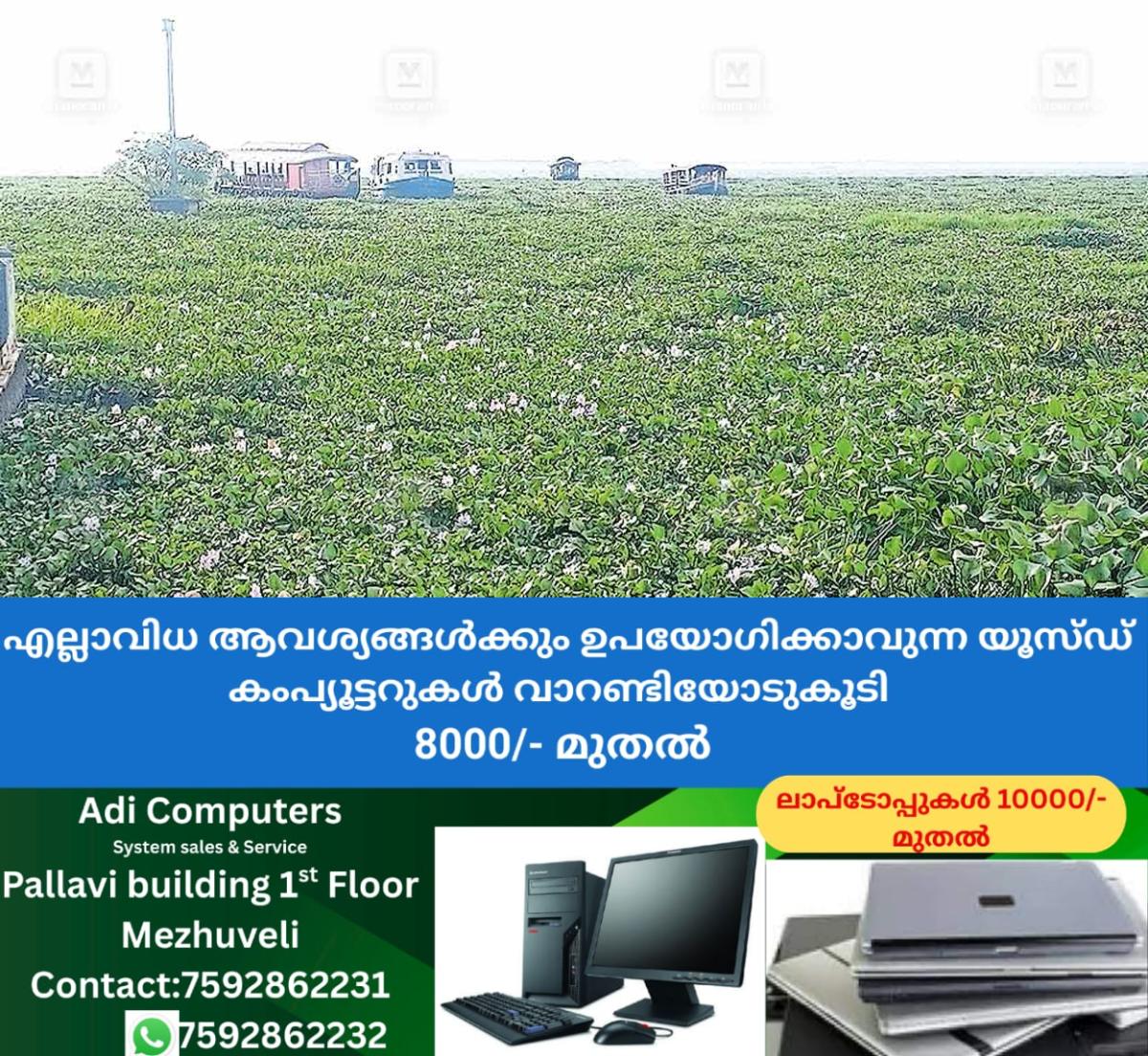 newskerala.net_1759551663_kumarakom-vegiitation