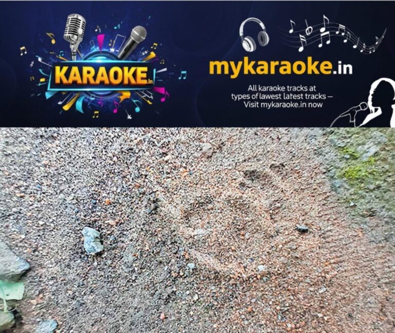 newskerala.net_1759556103_Leopard-Footprints