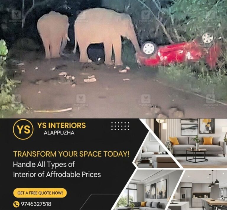 newskerala.net_1759573103_wild-elephant-attack
