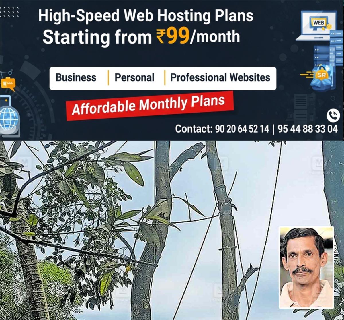 newskerala.net_1759633348_haripad-wood-cutter-strike-ligthing-1